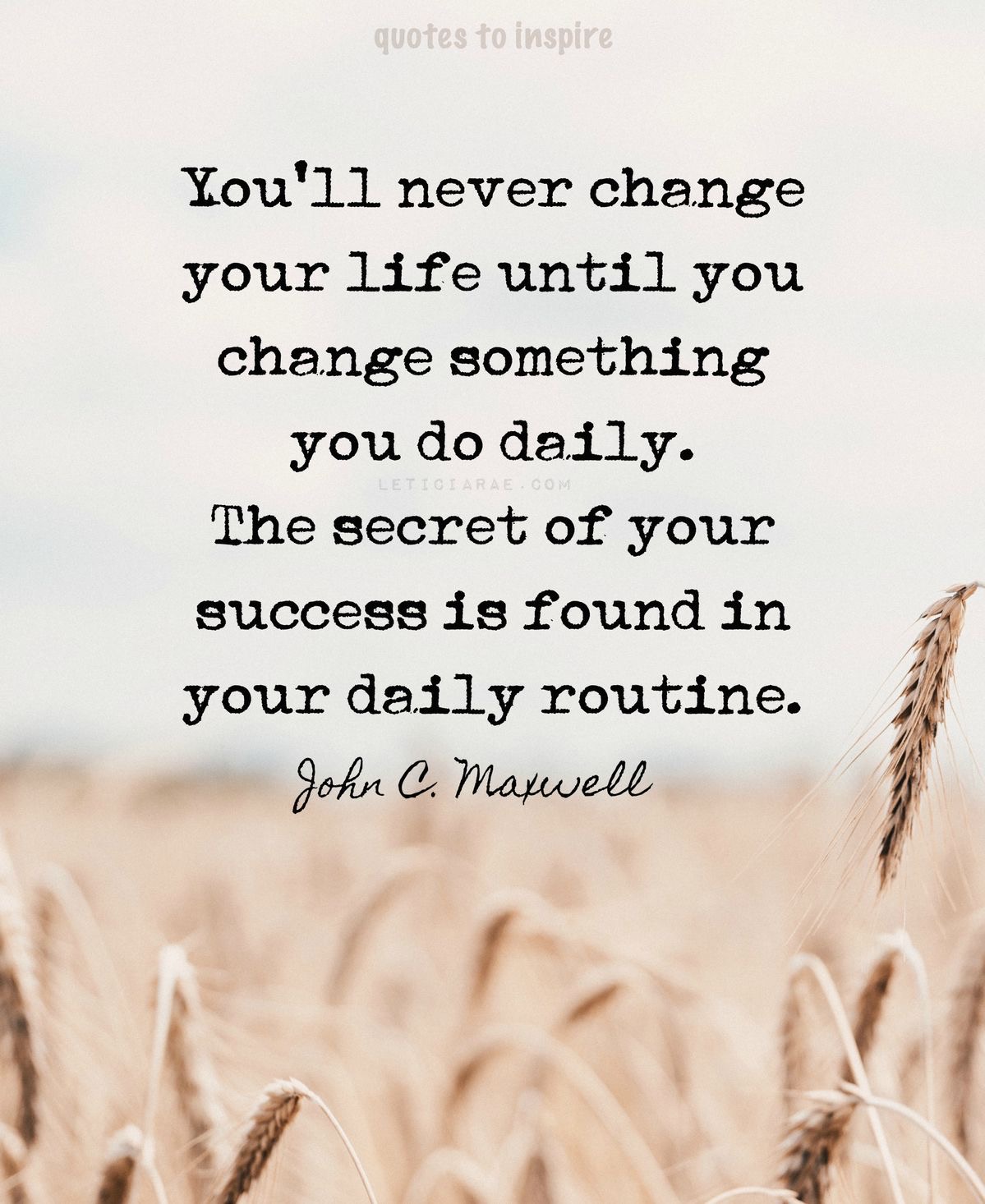 Daily Routine – Sunshine Jo